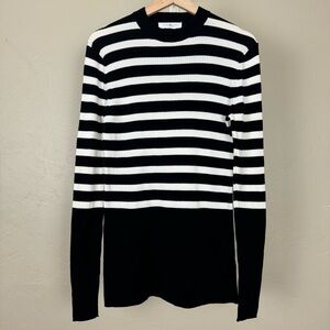 Everlane The Breton Ribbed Sweater Striped Knit Top